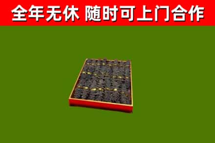 海口回收海参